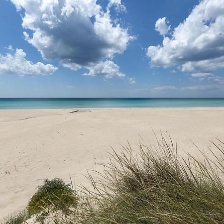 Villa Cucciby Barbarhouse Porto Cesareo Eksteriør billede